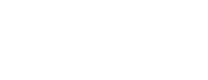 Værdiskaber